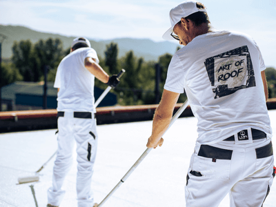 About Leaking Skylight Repair Pros Mount Lemmon, AZ